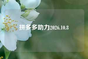 拼多多助力2026.10.8