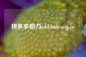 拼多多助力pddzhuli.qcqj.cn