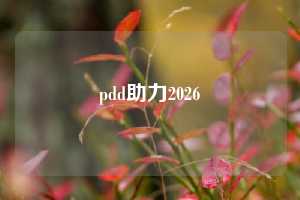pdd助力2026