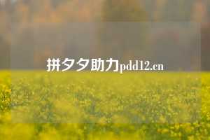 拼夕夕助力pdd12.cn