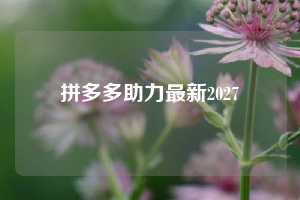 拼多多助力最新2027