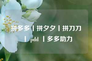拼多多丨拼夕夕丨拼刀刀丨 pdd 丨多多助力