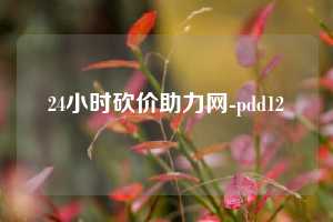 24小时砍价助力网-pdd12