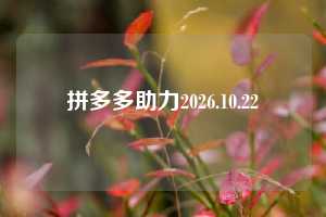 拼多多助力2026.10.22