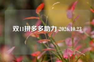 双11拼多多助力 2026.10.23